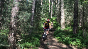 trailregional